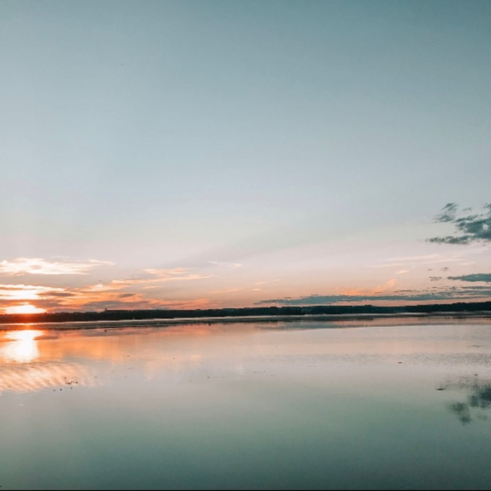 Meet your Posher, Ella